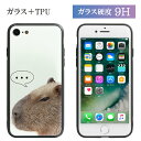 No12 Capybara nCObV[ iPhoneΉ KXP[X iPhone X iPhone8 iPhone7 X}zP[X KX Vv ACtH8 iPhoneX Jso Aj}  tHg ACzX d:eve | 킢  X}zJo[ iphoneP[X ACtHx