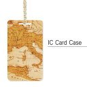 パスケース Map ハードケース | 定期入れ チェーン ICカード ストラップ レディース 通勤 通学 雑貨 かわいい おしゃれ ケース ICカードケース 電子マネー カードケース suica スイカ 入れ