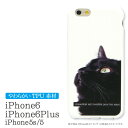 スマホケース iPhone 6 iPhone6Plus 対応 ソフト ケース BK cat | iPhone6 iPhone6ケース アイフォン6 アイホン6 キャット 黒猫 ねこ シンプル ネコ アニマル かわいい おしゃれ クリスマス