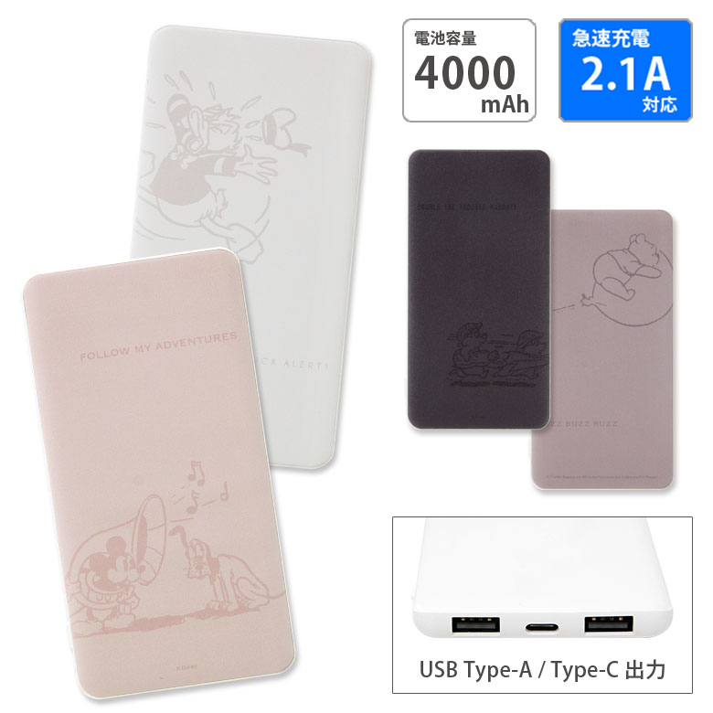 【PSE適合品】ディズニーキャラクター USB Type-C