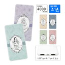 (5/9 20:00~5/16 01:59 15%OFFクーポン配布) 【PSE適合品】ディズニーキャラクター USB Type-C Type-A 急速充電 U...