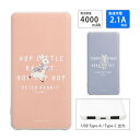 (5/9 20:00〜5/16 01:59 15%OFFクーポン配布) 【PSE適合品】ピーターラビット 急速充電 USB出力 Type-C スマートフォン充電...