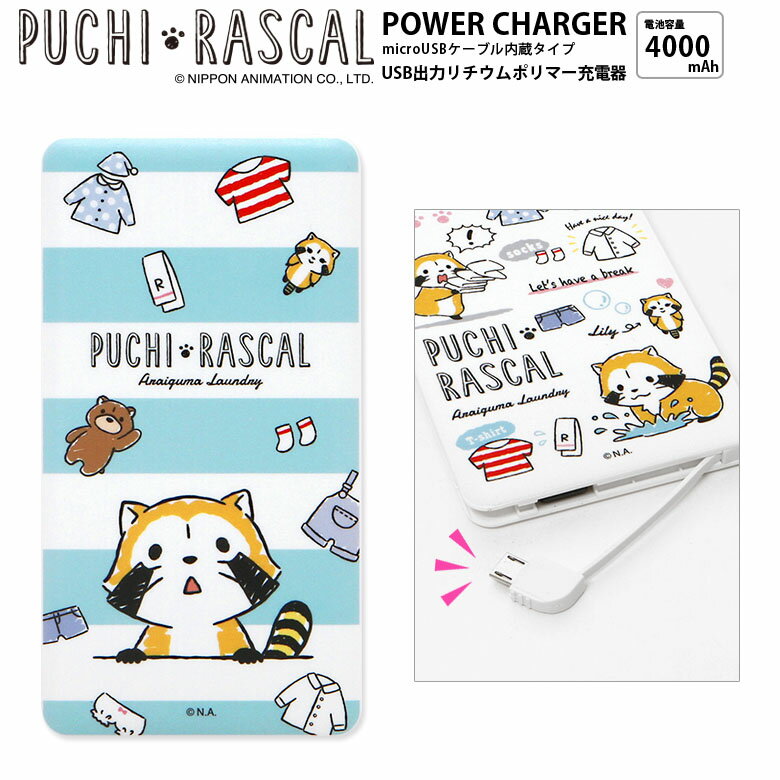 【PSE適合品】 プチラスカル USB出力 