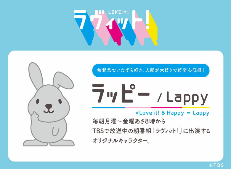 ラヴィット! ラッピー ICカードケース パス...の紹介画像2