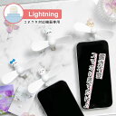 (10%OFFクーポン 7/26 01:59まで ) ちいかわ Lightningコネクタ付き ミニクールファン 電池不要 軽量 モバイルファン ハチワレ マスコット スマホに差すだけ iPhone用 ライトニング キャラクター かわいい 熱中症対策 夏 ミニ扇風機