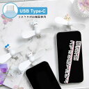 ちいかわ USB Type-Cコネクタ付き ミニクールファン 電池不要 軽量 モバイルファン スマホに差すだけ スマホ Type-C ハチワレ マスコット キャ...