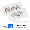 (5/9 20:00〜5/16 01:59 15%OFFクーポン配布) 【PSE適合品】PEANUTS 急速充電 USB出力 Type-C スマートフォン充電器...