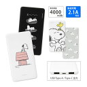 (5/9 20:00〜5/16 01:59 15%OFFクーポン配布) 【PSE適合品】ピーナッツ スヌーピー USB Type-C Type-A 急速充電 U...