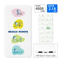 (5/9 20:00〜5/16 01:59 15%OFFクーポン配布) 【PSE適合品】ピーナッツ 急速充電 USB出力 Type-C スマートフォン充電器 2...