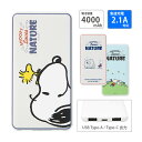 (5/9 20:00〜5/16 01:59 15%OFFクーポン配布) 【PSE適合品】ピーナッツ PEANUTS 急速充電 USB出力 Type-C スマート...
