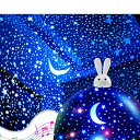 22種類投影フィルム付きのプラネタリウム (兎・星) 家庭用 人気 bluetoothスピーカー付きの間接照明 おしゃれ 多色変換のledライト