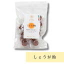 しょうが飴 奈良 王隠堂農園 80g お土産 おみやげ ギフト 名物 人気 贈り物