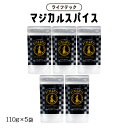 【メール便 送料無料】 [ライフテック] スパイス マジカルスパイス 袋 110g×5袋セット 万能スパイス 魔法のスパイス 九州 キャンプ BBQ..