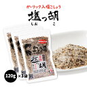 送料無料  調味料 ガーリック入り塩こしょう 美味 塩っ胡 袋 120g×3袋セット 塩胡椒 ガーリックペッパー ガーリック 天日塩 調味料 九州 福岡県 玄界灘 野次馬