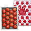 [おかざき農園] Lisa フルーツトマト 化粧箱 1kg /四国 高知県 おかざき農園 フルーツトマト お土産 ギフト