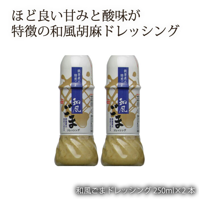 宮崎 ドレッシング 和風 玉ねぎ [ヤマエ食品] 和風 ごま ドレッシング 250ml×2本