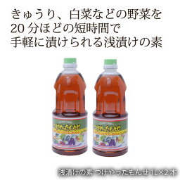 鹿児島 藤安醸醸造 ヒシク しょうゆ 醤油 あまい 甘口 [藤安醸造 ヒシク] 浅漬けの素 つけやったもんせ 1L×2本