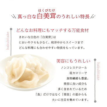 九州 佐賀 唐津 きくらげ 白いきくらげ 白美茸グレイスファーム 白いきくらげ「白美茸」(乾燥) 13g×2