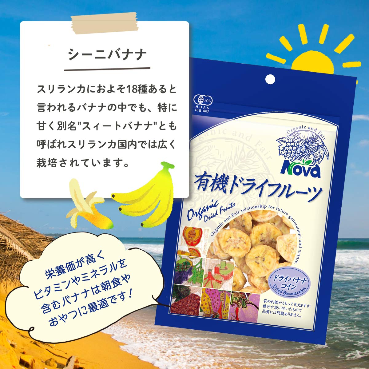 送料無料 [NOVA] 有機ドライバナナコイン 70g 3袋セット /ノヴァ ドライフルーツ 有機 オーガニック 自然 3