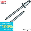 【抽選で最大100%ポイントバック 6/30エントリー開始】 ロブテックス(エビ) ブラインドリベット(1000本入) ステンレス/ステンレス 6-4 NST6...
