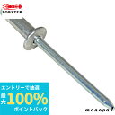 【抽選で100%ポイントバック エントリー受付中】 ロブテックス(エビ) ブラインドリベットエコBOX アルミ/スティール 4-5 (300本入) NSA