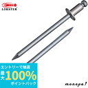 【抽選で100%ポイントバック エントリー受付中】 ロブテックス(エビ) ブラインドリベットエコBOX(300本入) ステンレス/スティール 3-2 NSS32...