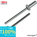 【抽選で100%ポイントバック エントリー受付中】 ロブテックス(エビ) ブラインドリベット(300本入) アルミ/スティール NSA53CEB NSA53CE...