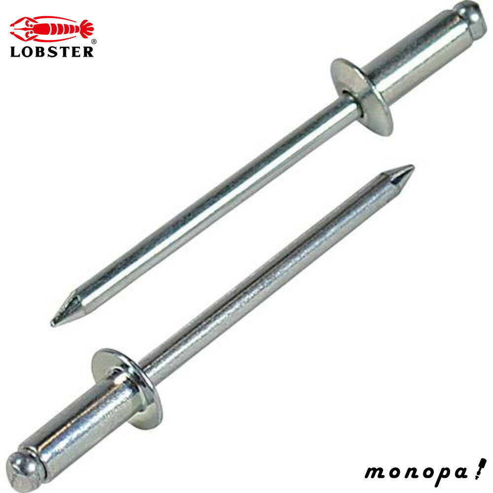 ロブテックス(エビ) ブラインドリベット(1000本入) スティール/スティール 6-2 NS62