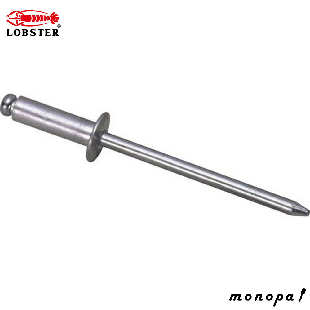 ロブテックス(エビ) ブラインドリベット(1000本入) アルミ/アルミ 5-2 NA52