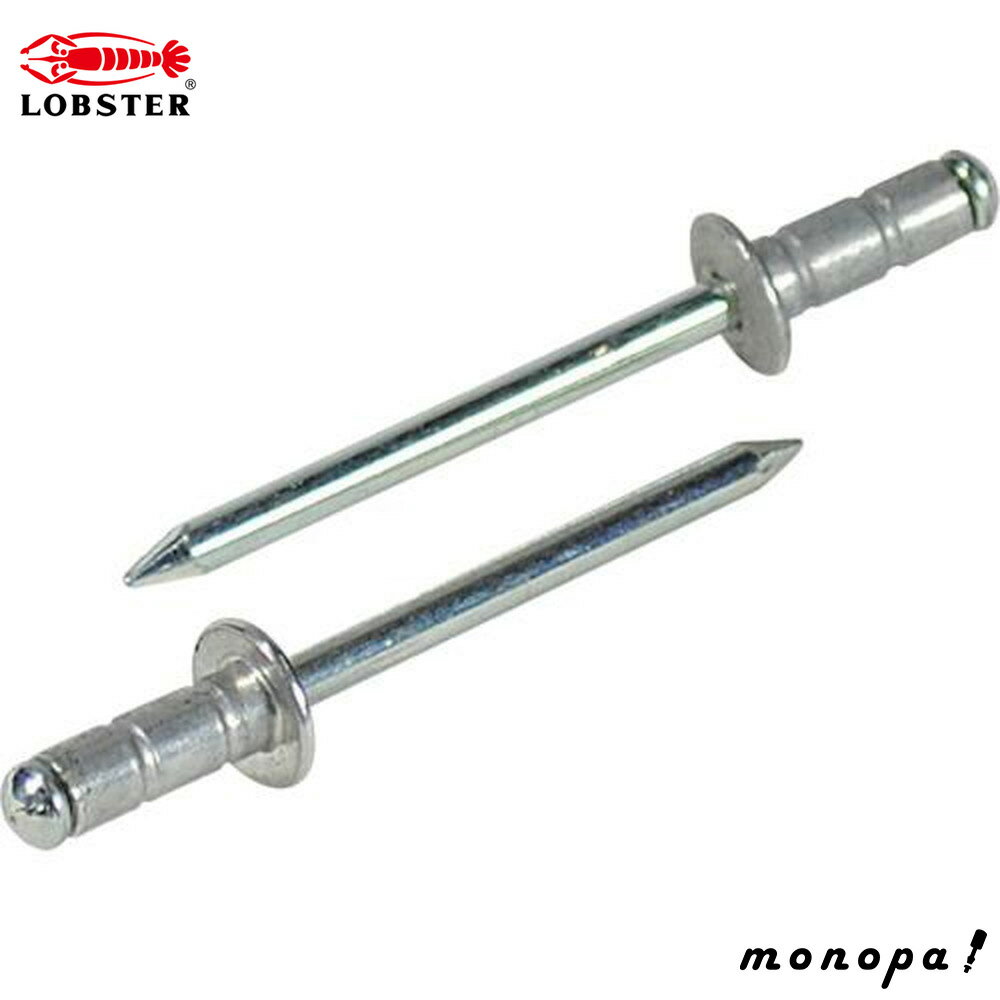 ロブテックス(エビ) APリベット(1000本入り) 4-5 AP45