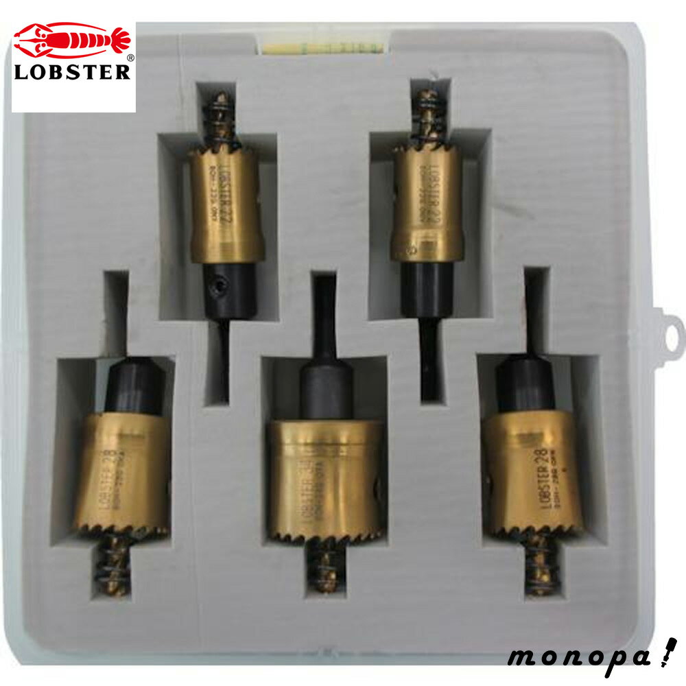 ロブテックス(エビ) バイメタルホルソー Bセット BOHBSET