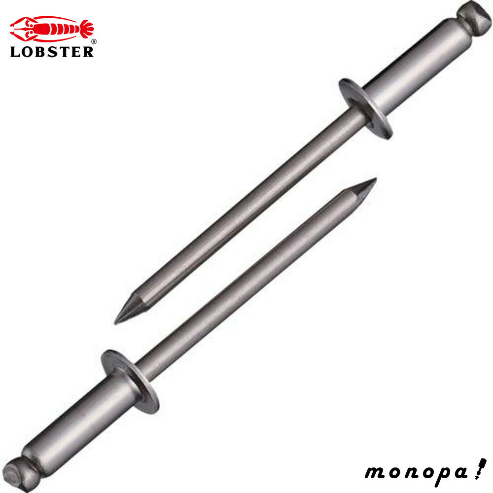 ロブテックス(エビ) ブラインドリベットエコBOX 300本入 NST55EB [その他]