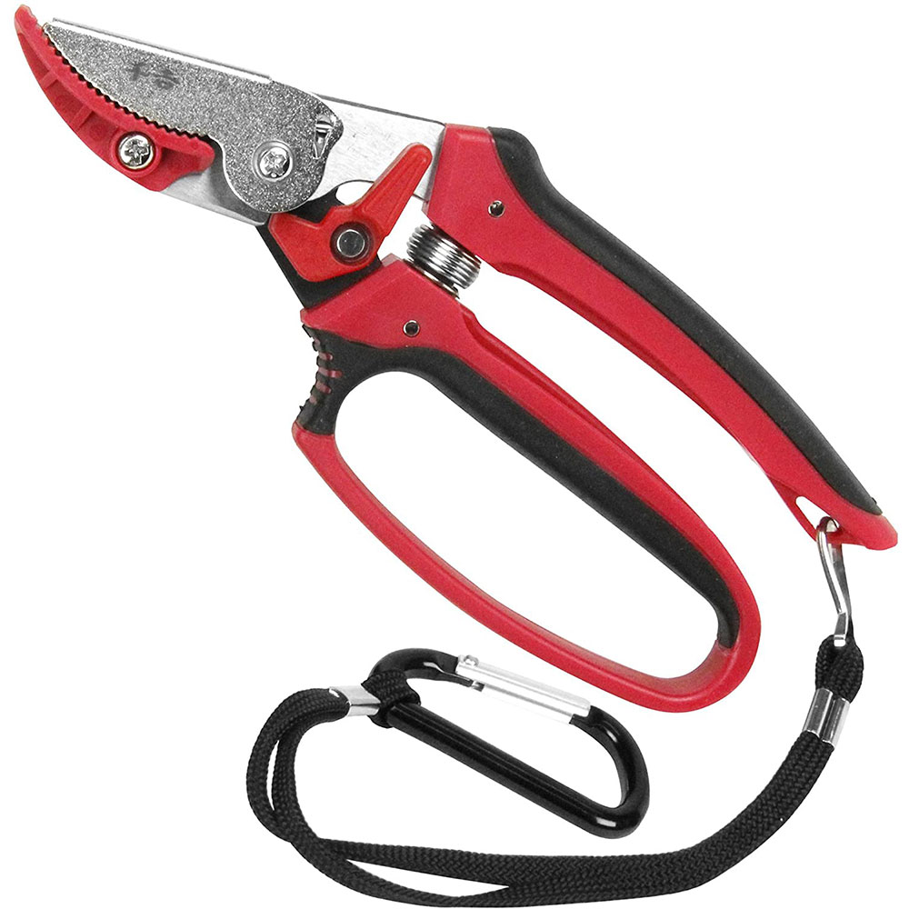 【ポイント3倍 12/3~12/11】 千吉 藤原産業 剪定鋏 切った枝を落とさないキャッチ機能付 カラビナ付 SGP-35C 送料無料