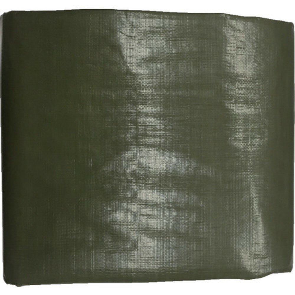 500OFFݥ 11/30~12/1 楿ᥤ #4000 OD꡼󥷡 5.4m5.4m OGS-413