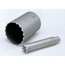 【ポイント3倍 8/15限定】 ボッシュ ダイヤモンドコア カッター100mm PDI-100C コアドリル