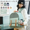 【今1点3900クーポンで】ペットキャリーリュック 猫 ペットバッグ ペットリュック ペット キャリー バッグ 猫 犬 いぬ キャリーバッグ ペットキャリーバッ...