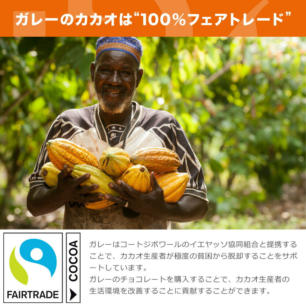 バレンタイン チョコ ベルギー王室御用達 ガレー公式 ミニバー12個入【 バレンタインデー 2021 チョコレート 詰め合わせ 義理チョコ 会社 職場 個包装 小分け ガレー 】格安通販　バレンタイン　人気　ランキング