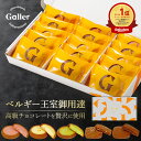 ベルギー王室御用達ブランド ガレー チョコレート クッキー 15枚/30枚入 5種 詰め合わせ 2025 お中元 夏 ギフト スイーツ チョコ お菓子 焼き菓子...