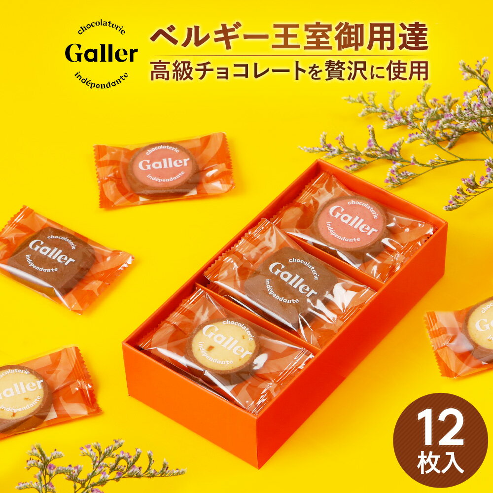 お菓子 ギフト ベルギー王室御用達 ガレー チョコ クッキー 3種 詰め合わせ 12枚入 2023 スイーツ 焼き菓子 結婚内祝い 出産 内祝い お返し 手土産 常温 退職祝い 退職 お礼 お祝い お供え 香典返し 弔事 誕生日 プレゼント 小分け 個包装