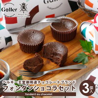 ベルギー王室御達用 チョコレート ガレー フォンダンショコラセット 3個入 手土産 手提げ袋 個包装 小分け 日持ち おしゃれ 高級 有名 チョコ ケーキ ギフト プレゼント 出産 結婚 内祝い お返し 結婚祝い 退職祝い ご挨拶 お菓子 詰め合わせ スイーツ セット