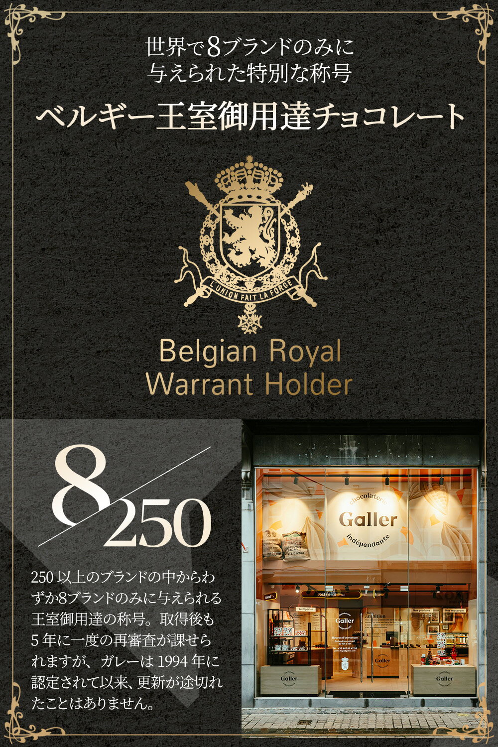 �ۥ磻�ȥǡ� ���ե� �٥륮����������ã�֥��� ���졼 ���祳�졼�� ���å��� 15�硿30���� 5�� �ͤ��碌 2026 �ۥ磻�ȥǡ� ���֤� ���ۻ� ���祳 �������� �Ƥ��ۻ� ������ ��� ���� �л� ��ˤ� ���ڻ� �ﲹ ��ư �࿦ �ˤ� ���� ��ŵ�֤� ������ �ץ쥼���