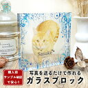 ★レビュー特典1,000円クーポン★ ペット メモリアル フォトフレーム【 ガラスブロック C09 】写真立て 位牌 仏具 名入れ 犬 猫 イヌ ネコ 誕生日 ...