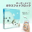 ★レビュー特典1,000円クーポン★【 ガラスブロック C01 】ペット写真 ペットグッズ 家族写真 ペットかわいい 犬 猫 イヌ ネコ 誕生日 写真 プリント...
