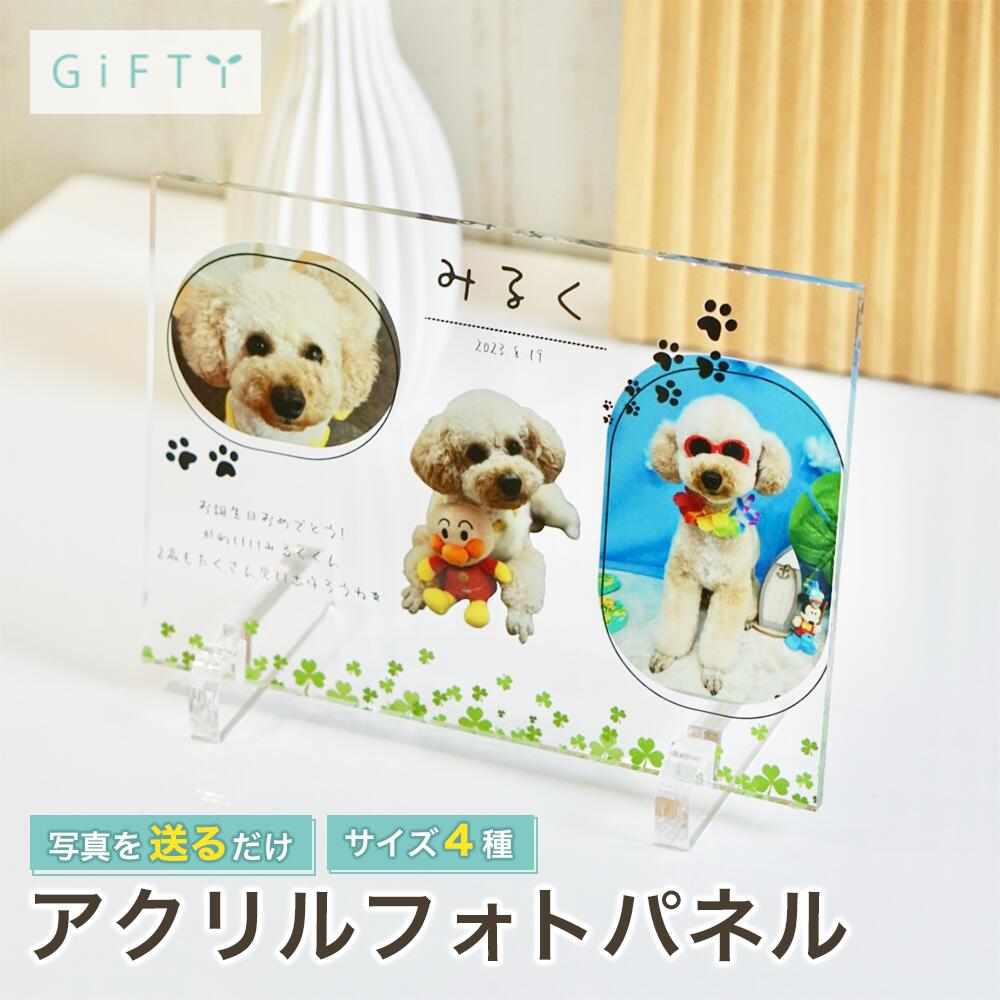 犬写真パネル　アクリルスタンド　うちの子メモリアル　誕生日記念　名入れ可　透明感　高見え　卓上イ..