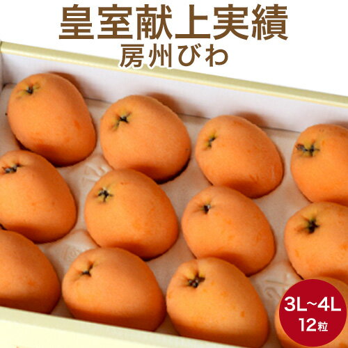 皇室献上の実績 房州びわ 大粒サイズ 3L-4L 12粒入化粧箱 送料無料 千葉県南房総産 人気 フルーツギフト