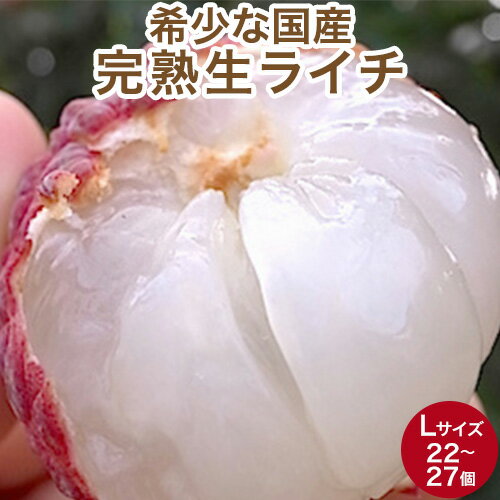 【高級完熟】国産 ライチ Lサイズ以上 22〜27個入化粧箱 宮崎県産 ギフト 送料無料