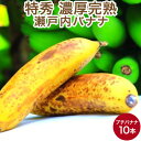 製品仕様 商品名 瀬戸内バナナ 岡山県産 特秀 無農薬国産バナナ 10本入り箱 名称 バナナ 内容量 10本入り 賞味期限 冷蔵保存4&#xFF5E;5日 保存方法 なるべく早めのお召し上がりをおすすめします。 商品説明 あの高級バナナが復...