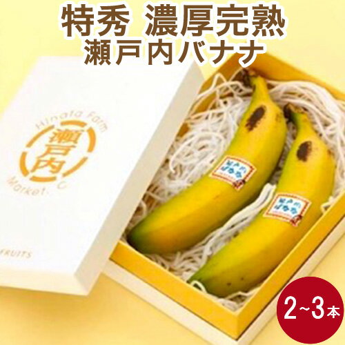 瀬戸内バナナ 岡山県産 特秀 無農薬国産バナナ 贈答用 2本入り化粧箱 送料無料 ギフト 予約販売