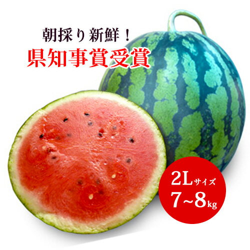県知事賞受賞 大玉 スイカ 1玉 2Lサイズ7〜8kg 千葉県富里産 送料無料 父の日 お中元 御中元 ギフトのサムネイル