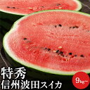 特秀 信州波田スイカ 特大玉1玉 贈答用9kg以上 長野県松本産 送料無料 御中元 お中元 ギフト 予約販売